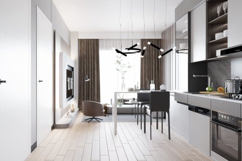 1+1 Wohnung  in Kâğıthane, Istanbul, Türkei Nr. 212615 - 6