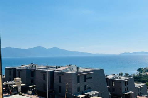 in Kusadasi, Aydin, Türkei Nr. 228659 - 22