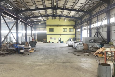 Erhvervsejendom  i Balikesir, Tyrkiet Nr. 223251 - 9