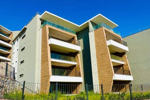 in Kusadasi, Aydin, Türkei Nr. 228659 - 5