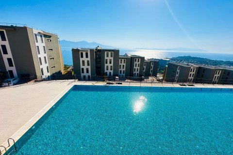 in Kusadasi, Aydin, Türkei Nr. 228659 - 4
