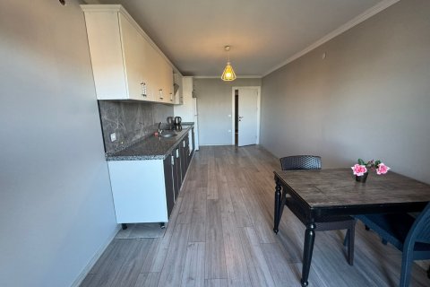 Erhvervsejendom i Trabzon, Tyrkiet Nr. 228581 - 15