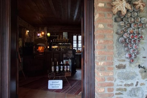 Forretning  i Selcuk, Izmir, Tyrkiet Nr. 223235 - 14