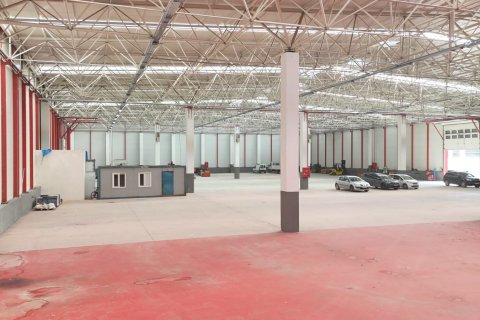 Продажа коммерческой недвижимости  в Тургутлу, Манисе, Турция, 9850м2, №223250 – фото 2