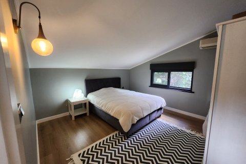 5+1 Villa  i Alanya, Antalya, Turkiet Nr. 216405 - 6