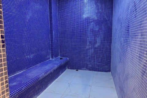 3+1 Takvåning  i Alanya, Antalya, Turkiet Nr. 223142 - 20