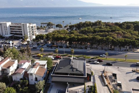   in Kusadasi, Aydin, Türkei Nr. 228648
