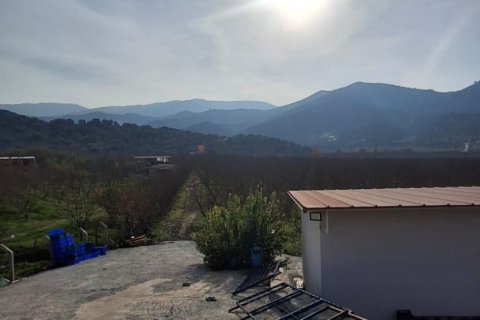 Tom  i Selcuk, Izmir, Tyrkiet Nr. 223234 - 10