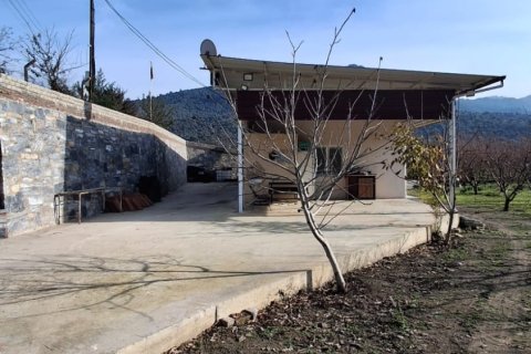 Tom  i Selcuk, Izmir, Tyrkiet Nr. 223234 - 8