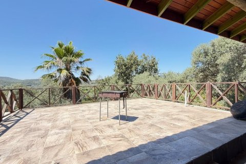 in Kusadasi, Aydin, Türkei Nr. 228649 - 2