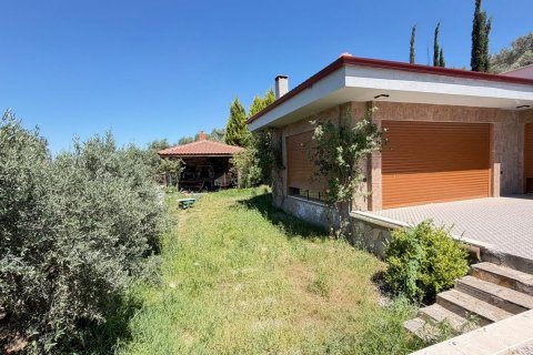 in Kusadasi, Aydin, Türkei Nr. 228649 - 4