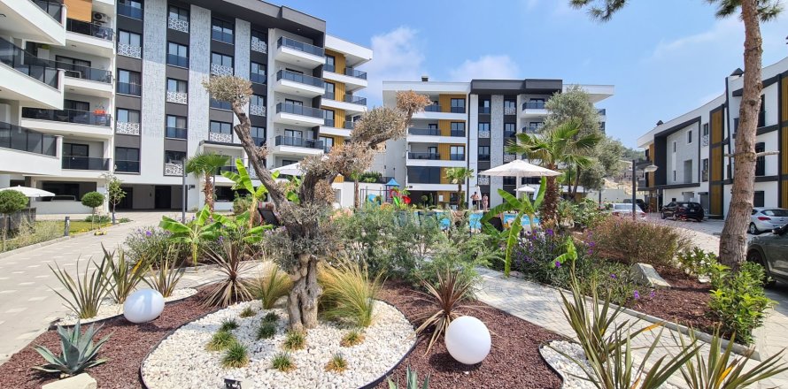   i Kusadasi, Aydin, Tyrkiet Nr. 228934