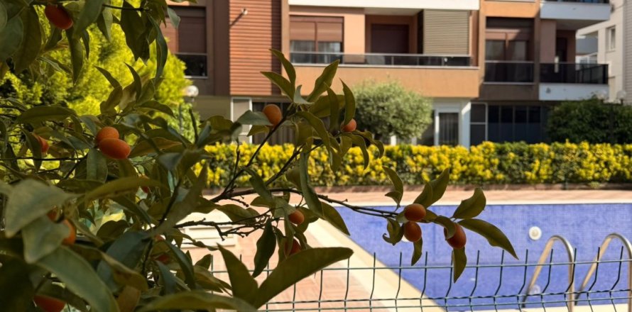1+0 Lejlighed  i Konyaalti, Antalya, Tyrkiet Nr. 227022