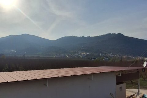 Tom  i Selcuk, Izmir, Tyrkiet Nr. 223234 - 4