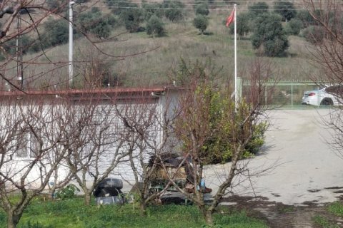 Tom  i Selcuk, Izmir, Tyrkiet Nr. 223234 - 5