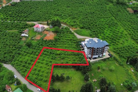 Apartment for sale in Trabzon, Turkey, 2 bedrooms, 113m2, No. 229039 – photo 5