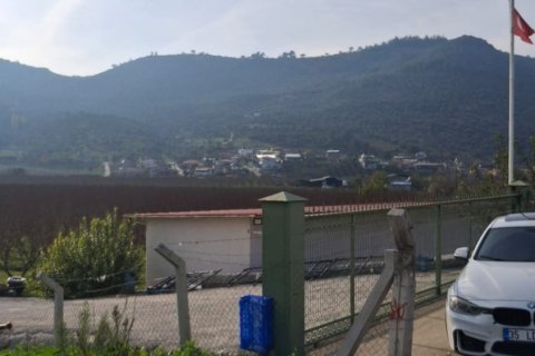 Tom  i Selcuk, Izmir, Tyrkiet Nr. 223234 - 2