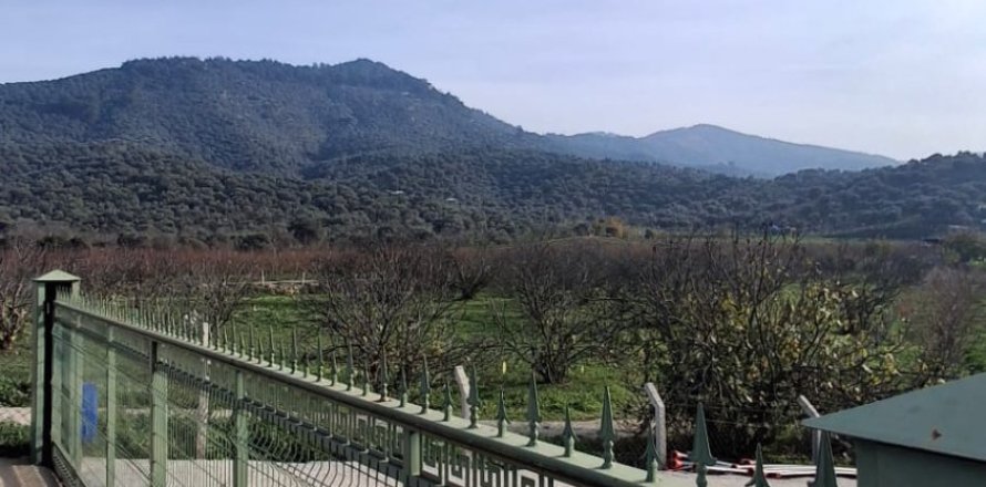 Tom  i Selcuk, Izmir, Tyrkiet Nr. 223234