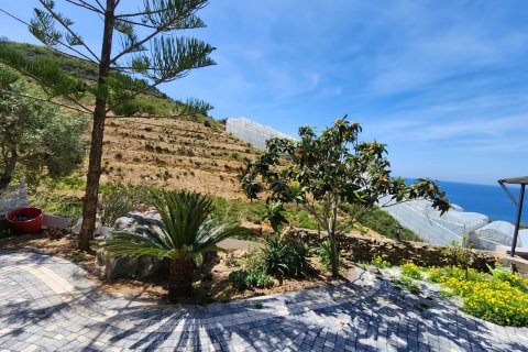 4+1 Villa  i Alanya, Antalya, Turkiet Nr. 223281 - 22