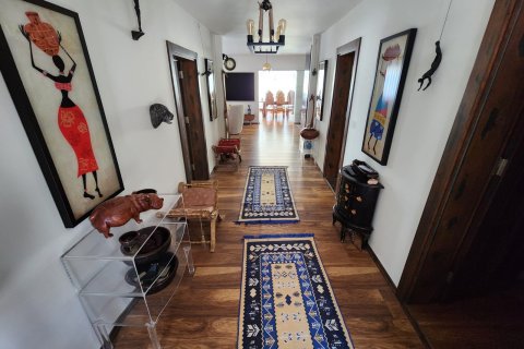 4+1 Villa  i Alanya, Antalya, Turkiet Nr. 223281 - 23