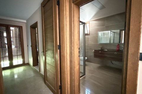 in Kusadasi, Aydin, Türkei Nr. 228649 - 16