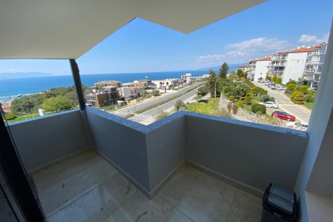 in Kusadasi, Aydin, Türkei Nr. 227464 - 11