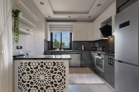 Продажа земельного участка  в Демирташе, Аланье, Анталье, Турция, 250м2, №223141 – фото 14