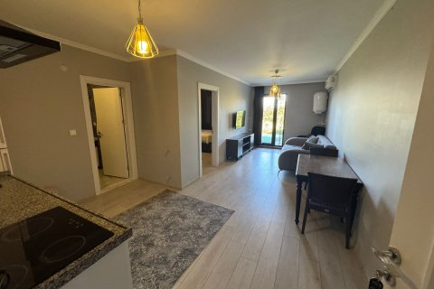 Erhvervsejendom i Trabzon, Tyrkiet Nr. 228581 - 19