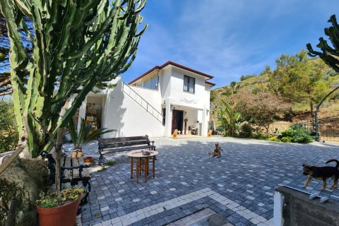 4+1 Villa  i Alanya, Antalya, Turkiet Nr. 223281 - 18