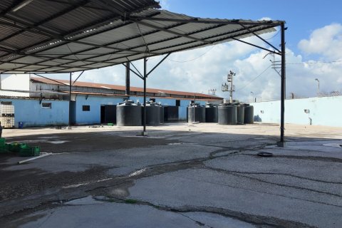 Аренда коммерческой недвижимости  в Кемальпаше, Измире, Турция, 2000м2, №223277 – фото 12