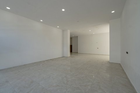 Gewerbeimmobilien  in Alanya, Antalya, Türkei Nr. 212213 - 10