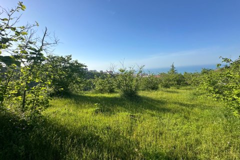Продажа земельного участка  в Трабзоне, Турция, №228501 – фото 8