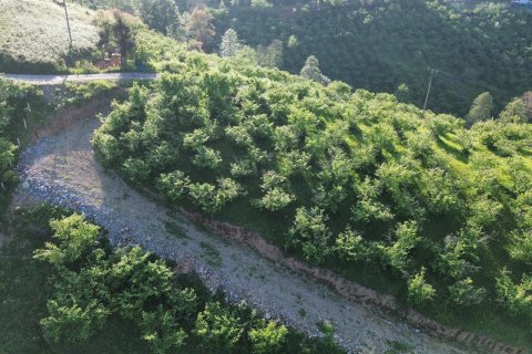 Продажа земельного участка  в Трабзоне, Турция, №228501 – фото 10