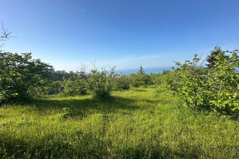 Продажа земельного участка  в Трабзоне, Турция, №228501 – фото 9