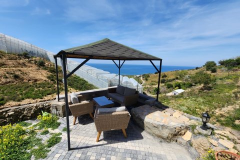 4+1 Villa  i Alanya, Antalya, Turkiet Nr. 223281 - 6