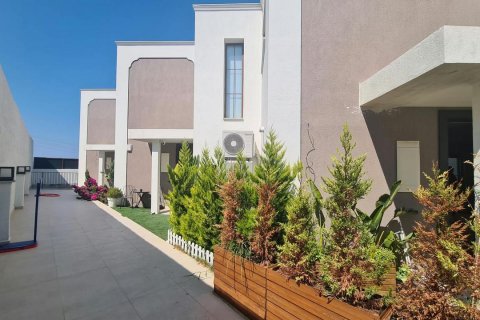   in Kusadasi, Aydin, Türkei Nr. 232422 - 21