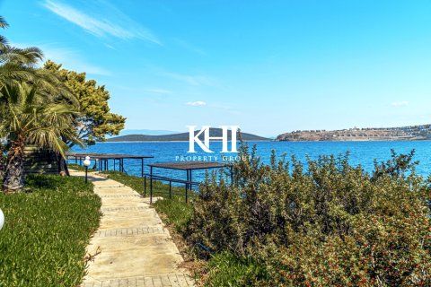 Продажа виллы в Гюндогане, Мугле, Турция 8+1, 400м2, №215657 – фото 13