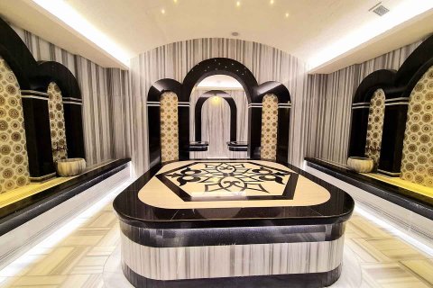 1+1 Lejlighed i Alanya, Antalya, Tyrkiet Nr. 228519 - 20
