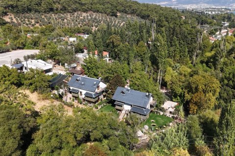 Villa i Izmir, Tyrkiet Nr. 212697 - 23