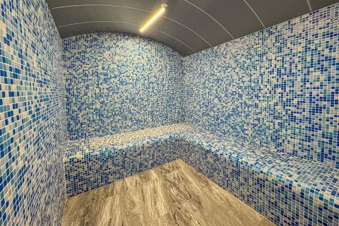 2+1 Penthouse  i Kestel, Antalya, Tyrkiet Nr. 223146 - 19