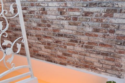 Dubleks daire  2+1  Selçuk, İzmir, Türkiye №215684 - 11