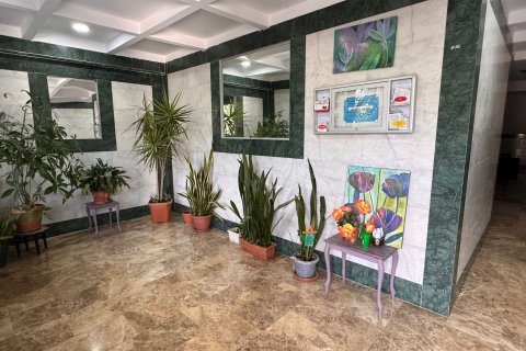 2+1 Leilighet  i Mahmutlar, Antalya, Tyrkia Nr. 224699 - 17