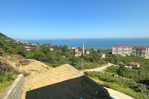 3+1 Leilighet i Arsin, Trabzon, Tyrkia Nr. 228504 - 15