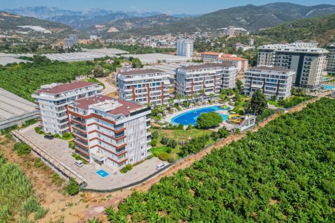 Leilighet  i Demirtas, Alanya, Antalya, Tyrkia Nr. 212034 - 9