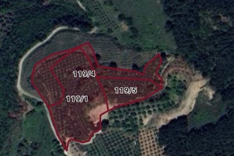 Arsa   Selçuk, İzmir, Türkiye №223246 - 3