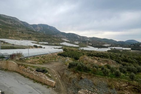 1+1 Leilighet i Mahmutlar, Antalya, Tyrkia Nr. 238026 - 14