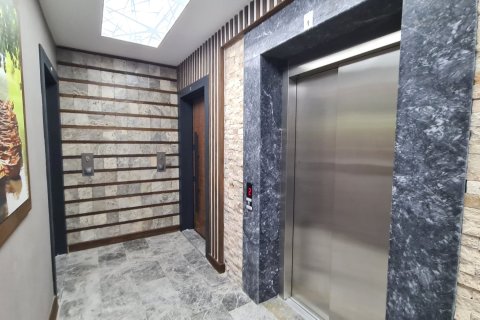 i Kusadasi, Aydin, Tyrkiet Nr. 225494 - 2