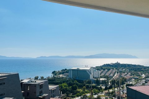 in Kusadasi, Aydin, Türkei Nr. 228659 - 15