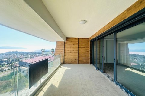 in Kusadasi, Aydin, Türkei Nr. 228659 - 17