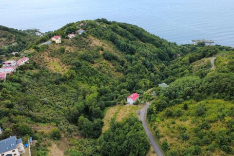 Tomt i Akcaabat, Trabzon, Tyrkia Nr. 232191 - 13